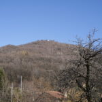 Cappella del Belice vista dal basso