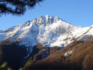 Bec Baral