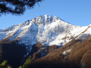 Bec Baral