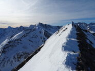 L'estetica cresta finale