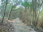 salita iniziale con pendenza costante