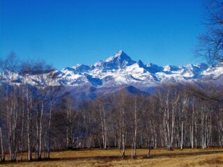 Vista sul Monviso