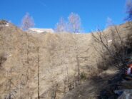 sentiero di salita senza neve
