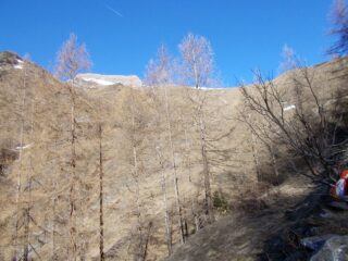 sentiero di salita senza neve