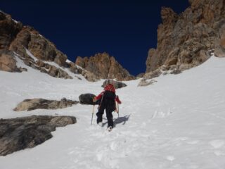 Sognando l'ombra e la frescura...