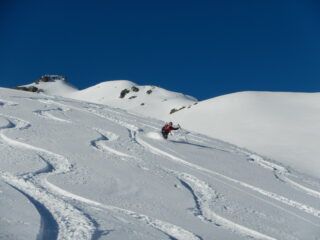 ......e dossi divertenti