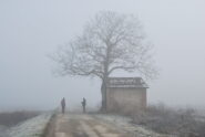 Paesaggio alla partenza: nebbia e brina danno un senso di perplessità su come sarà la giornata, ma sul suggestivo niente da dire.