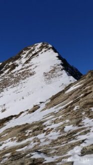 il ferra appena abbandonato..