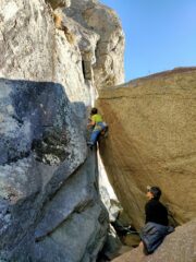Mauro in partenza su Mister Y