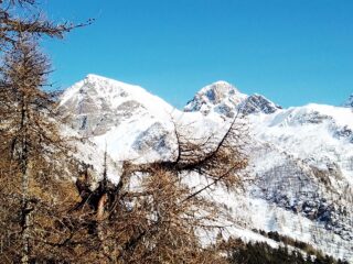 Vista su Orsiera e Cristalliera