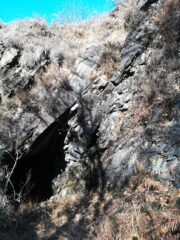 La vegetazione aveva ormai invaso il primo tiro