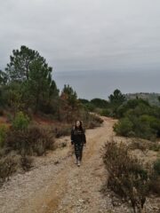 si sale nella parte alta