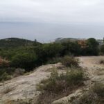 finestra panoramica verso Bordighera Alta