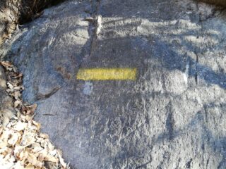 Partenza con nome della via e disegno del micio