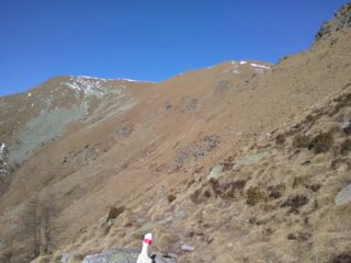 Inizio del traverso da Alpe Frigerola a Alpe Vaccarezza