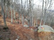 Cascina poco sotto la cima