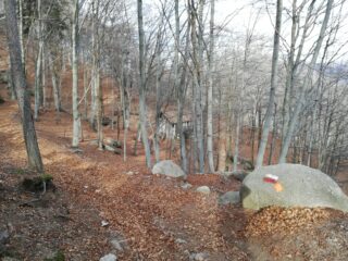 Cascina poco sotto la cima