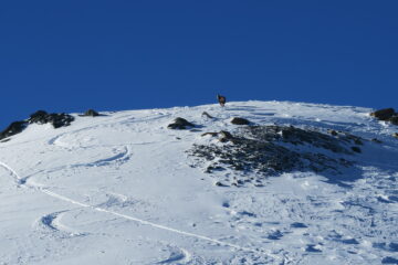 primi metri di discesa con un camoscio che mi controlla