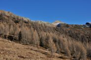 Il Sassone visto dall'Alpe Colla