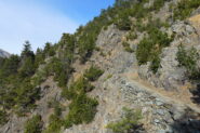 Mulattiera della Forestale