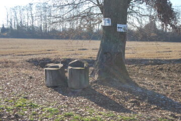 Punto sosta prima della Cascina Bosco, ormai quasi sulla SP21