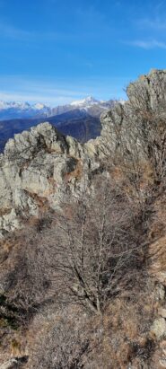 Rocciamelone