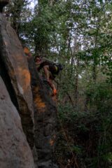 Stefanio sulla tecnica placca di Monodita