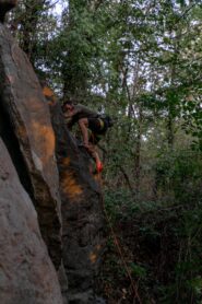 Stefanio sulla tecnica placca di Monodita