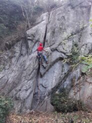 Gandi fa le pulizie su Edera canterina