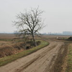 Sulla sterrata per Nicorvo, passata la cascina Ponella