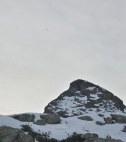 Un'aquila sorvola la cima
