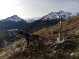 Sul traverso per Desertetto