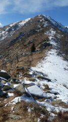 il colletto e la punta sellassa