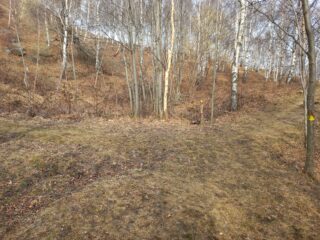 Bivio in cui svoltare a destra