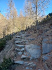 Bello e comodo sentiero