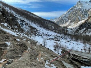 Causa assenza di neve verso Ghinivert taglio per prati e mi dirigo al Pelato