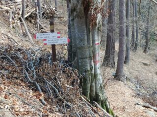 Il bivio del Mascarone, con il cartello da me raccolto.