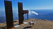 I ''soliti idioti'' hanno colpito anche oggi