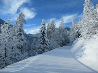 La strada per la Colletta
