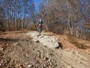 Caba sulla palladiana...