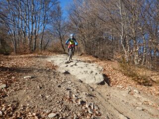 Caba sulla palladiana...