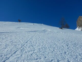 qui splendida neve