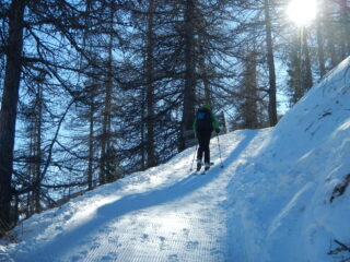mulattiera in ottime condizioni