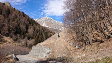 Stradina dove si parte