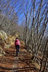 Salendo verso San Calogero dalla Colla d'Onzo