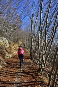 Salendo verso San Calogero dalla Colla d'Onzo