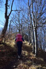 Verso la vetta del Montarlone