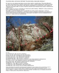 Topo nuovo settore placche