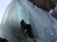 Ma che amici della nicchia!
