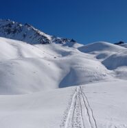 Parte alta con polvere